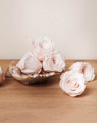 Idlewild Floral Co. Blush Preserved Roses