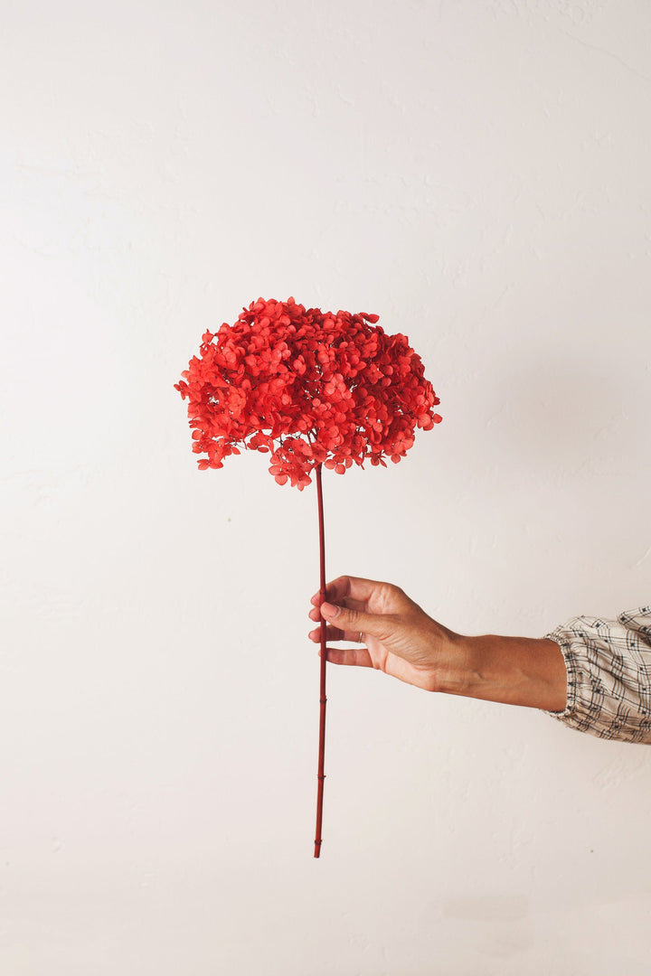 Idlewild Floral Co. Cherry Red Hydrangea Puff