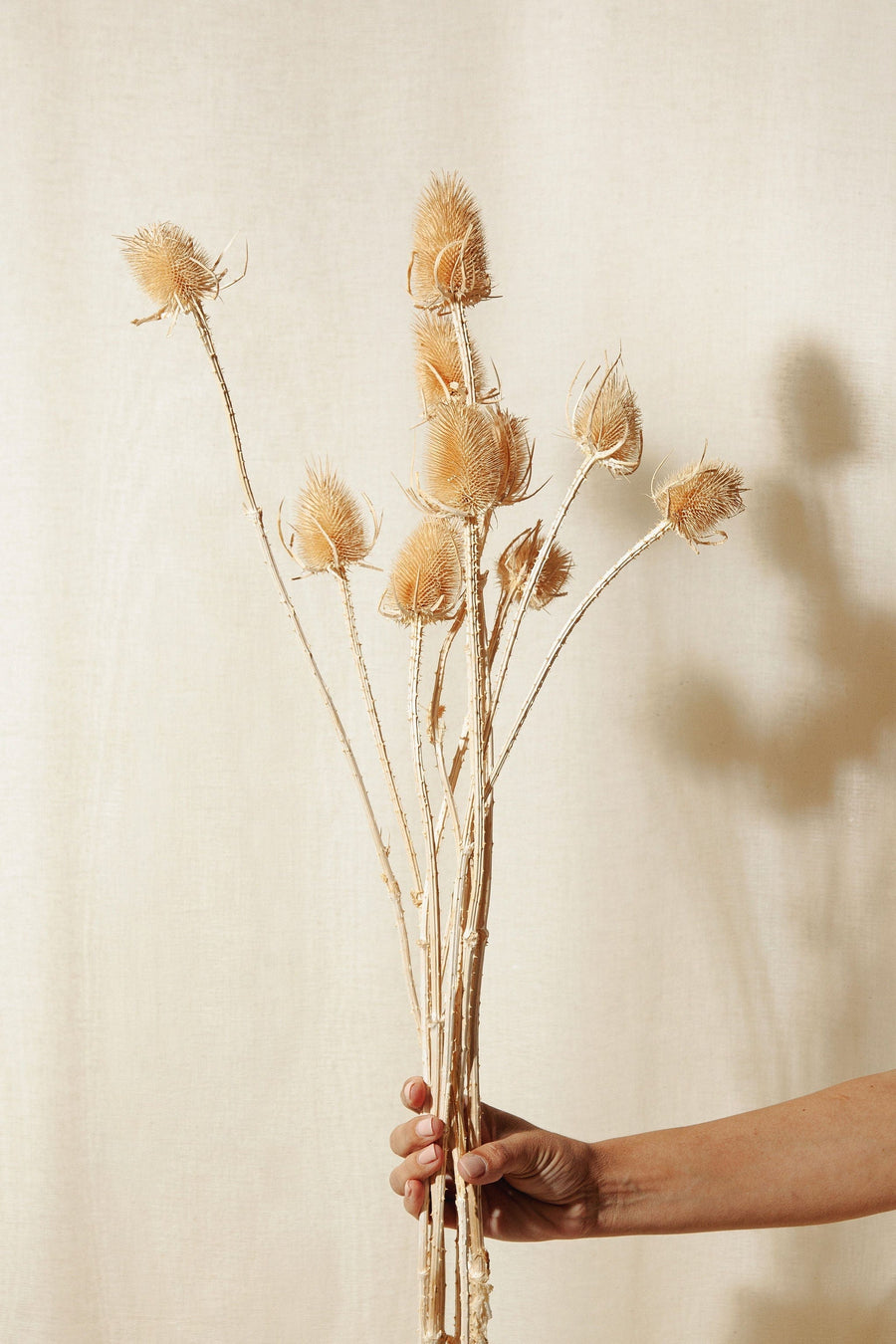 Floral Cluster or Swag – Idlewild Floral Co.