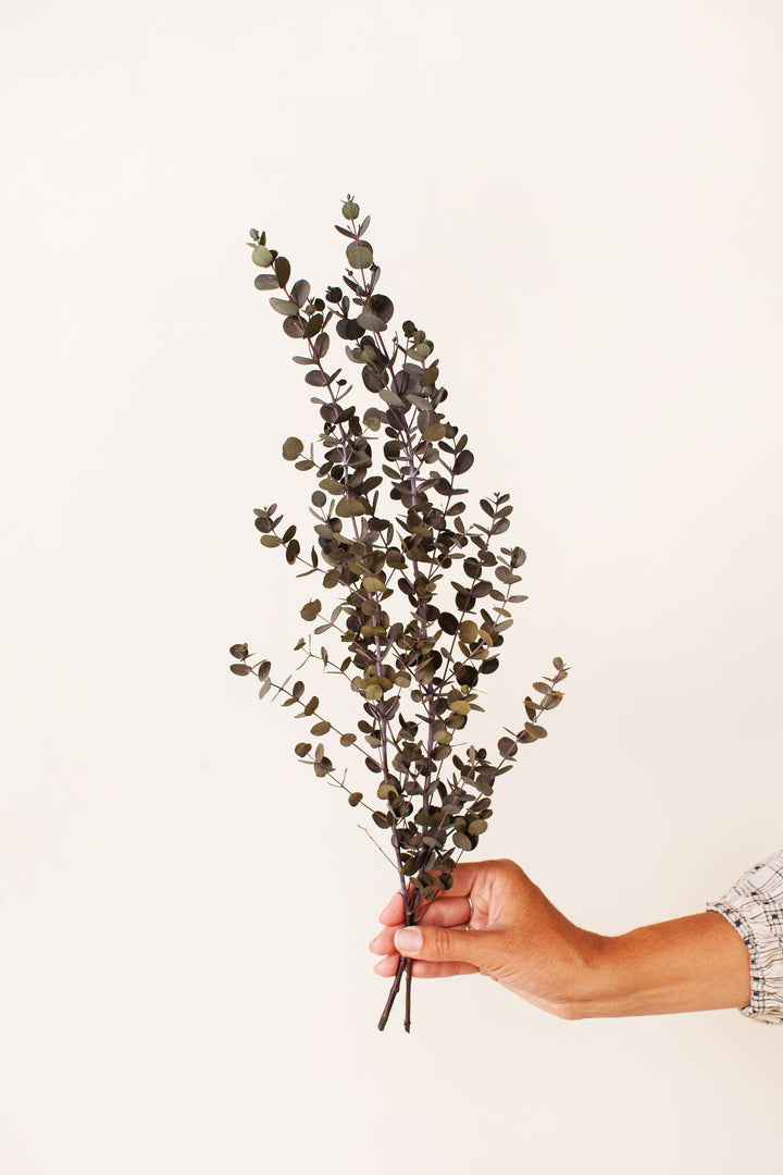 Idlewild Floral Co. Dark Green Gunni Eucalyptus