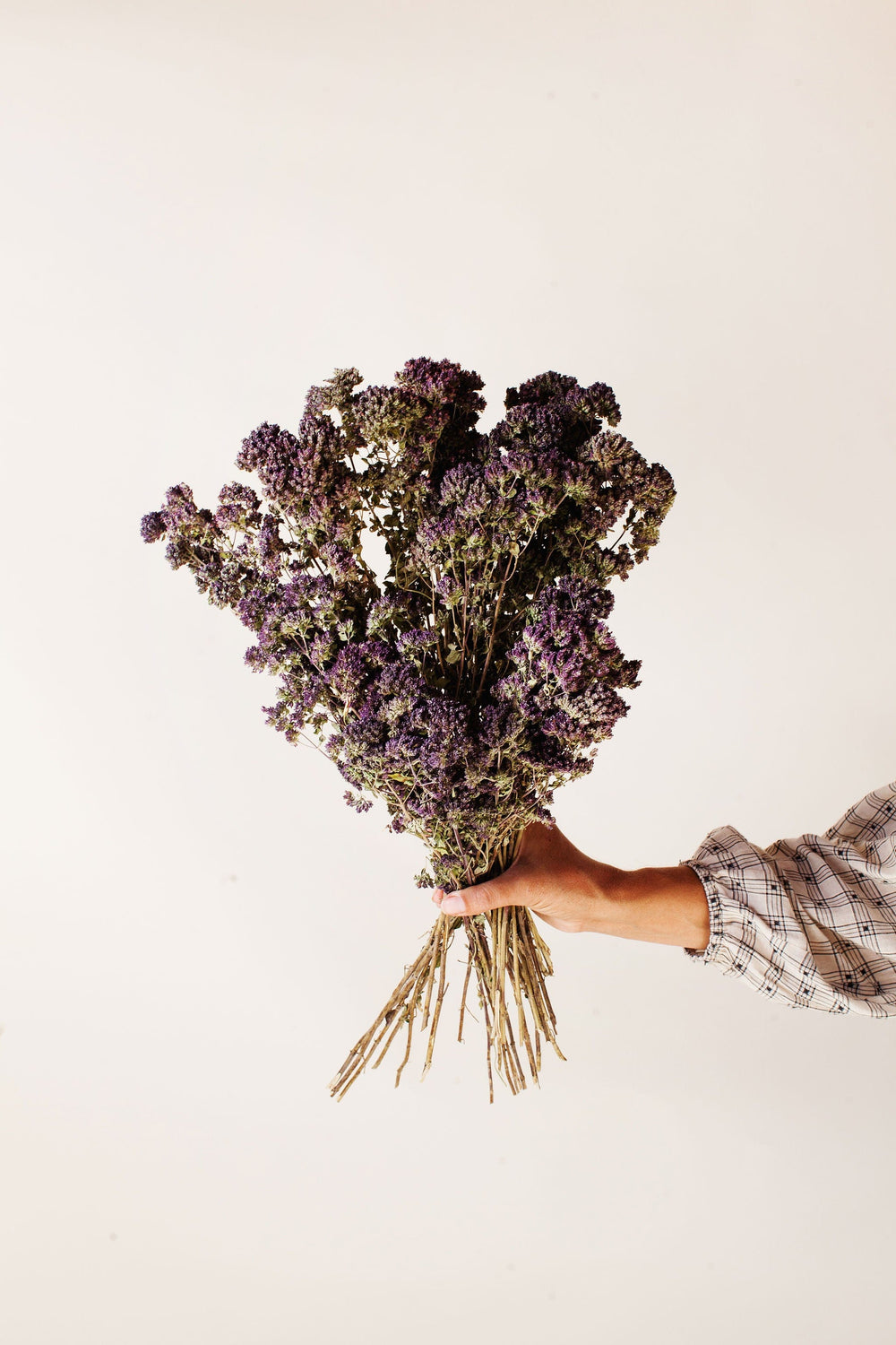 Idlewild Floral Co. Dark Purple Oregano Blooms