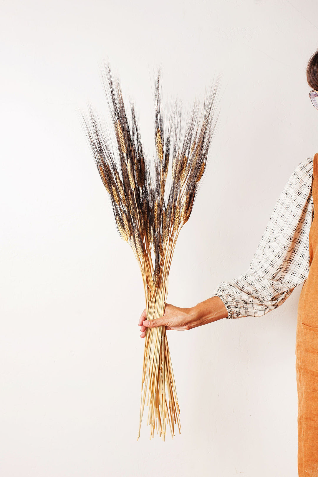 Idlewild Floral Co. Dried Black Bearded Wheat