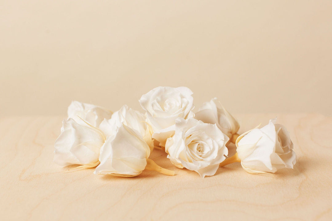 Idlewild Floral Co. Dried Flowers Preserved Mini White Roses