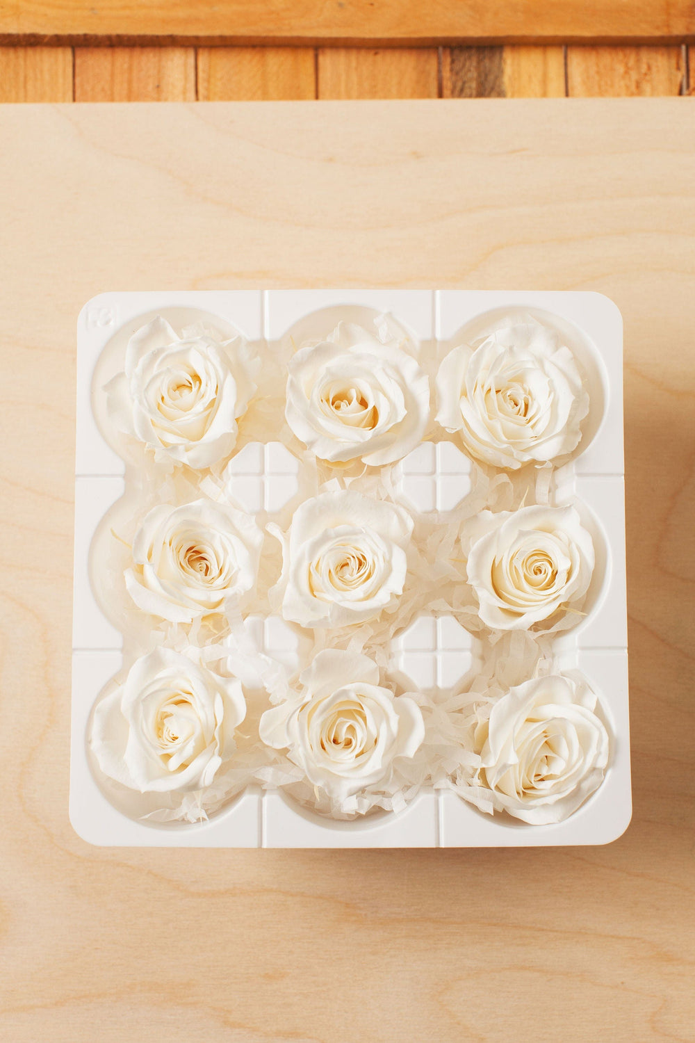 Idlewild Floral Co. Dried Flowers Preserved Mini White Roses