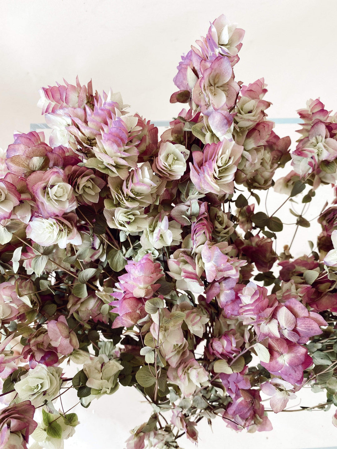 Idlewild Floral Co. Dried Oregano Blooms