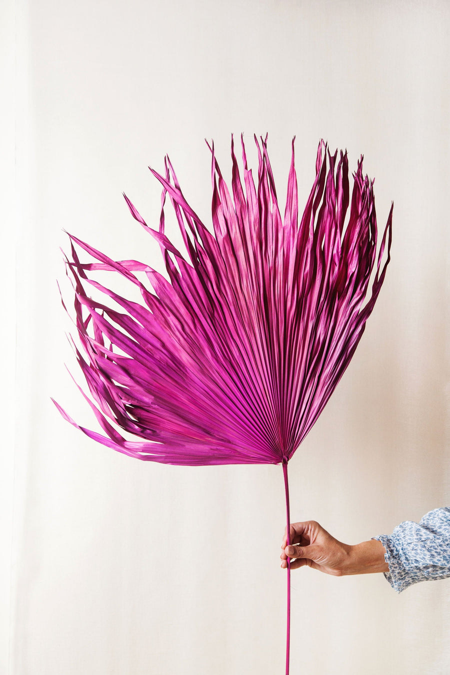 Idlewild Floral Co. Bunches Giant Fuchsia Palm Frond