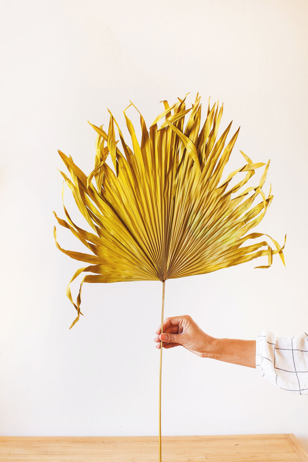 Idlewild Floral Co. Giant Mustard Palm Frond
