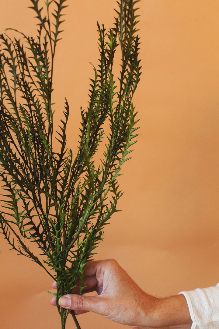 Idlewild Floral Co. Grevillea Ivanhoe