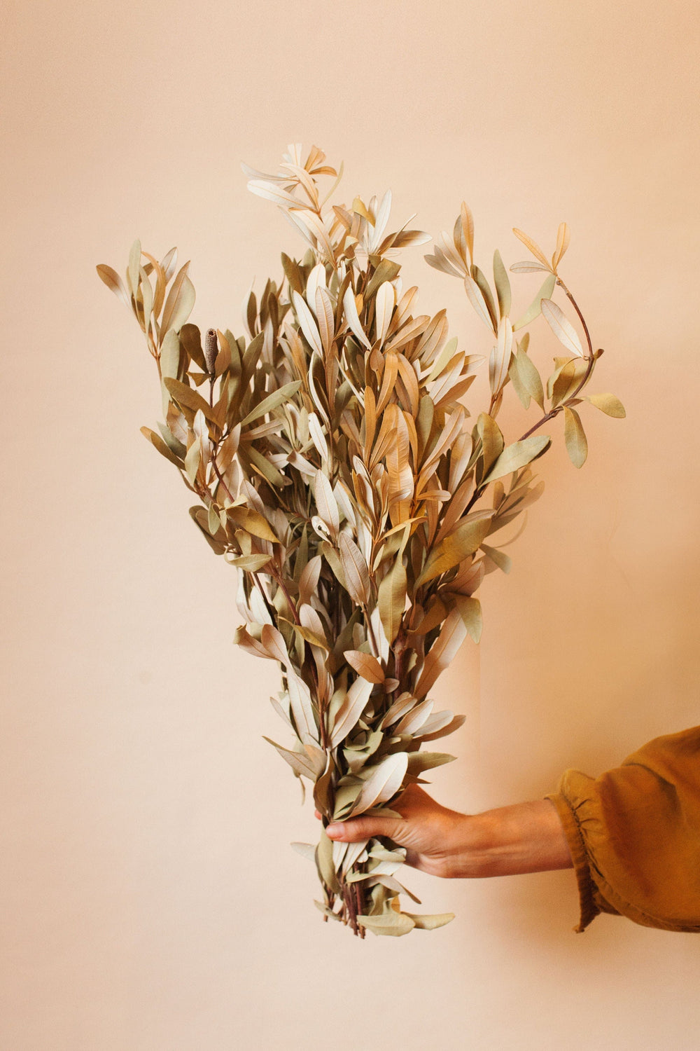 Idlewild Floral Co. Integrifolia Foliage