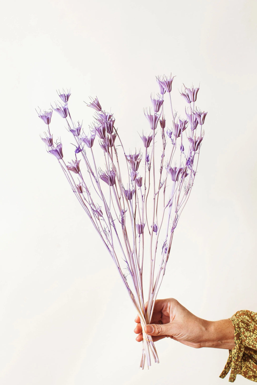 Idlewild Floral Co. Lavender Nigella