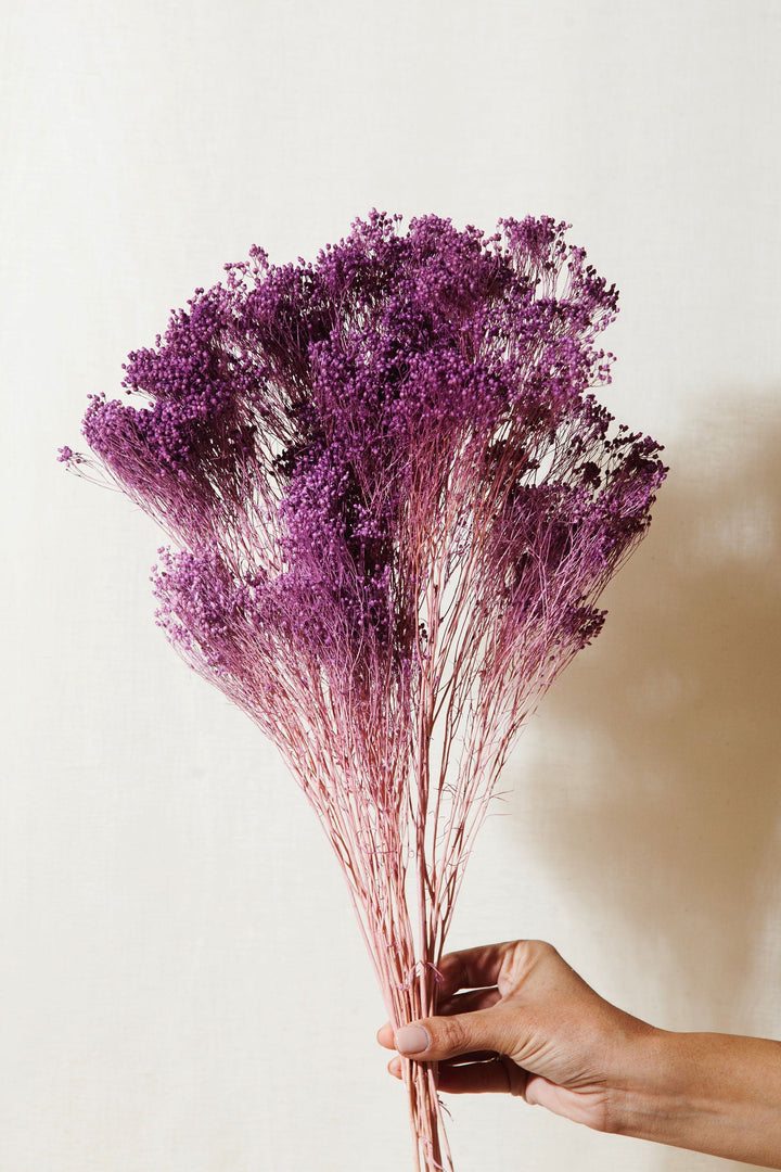 Idlewild Floral Co. Bunches Lilac Broom Bloom