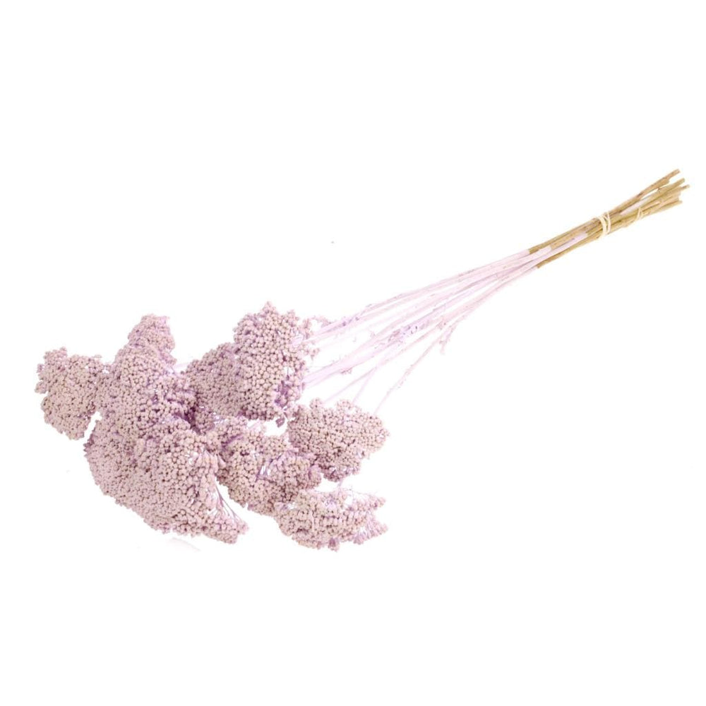 Idlewild Floral Co. Lilac Yarrow