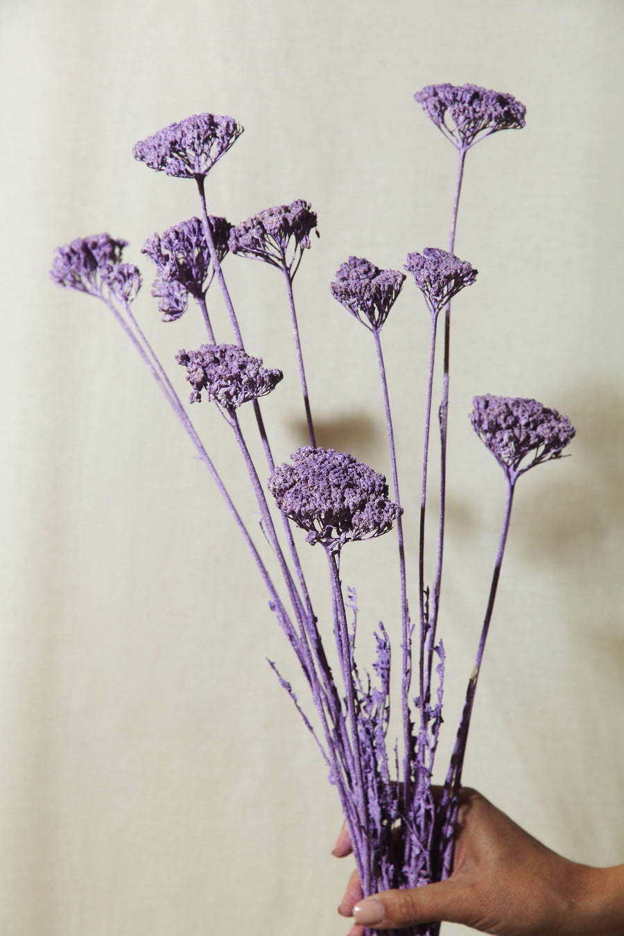 Idlewild Floral Co. Bunches Lilac Yarrow