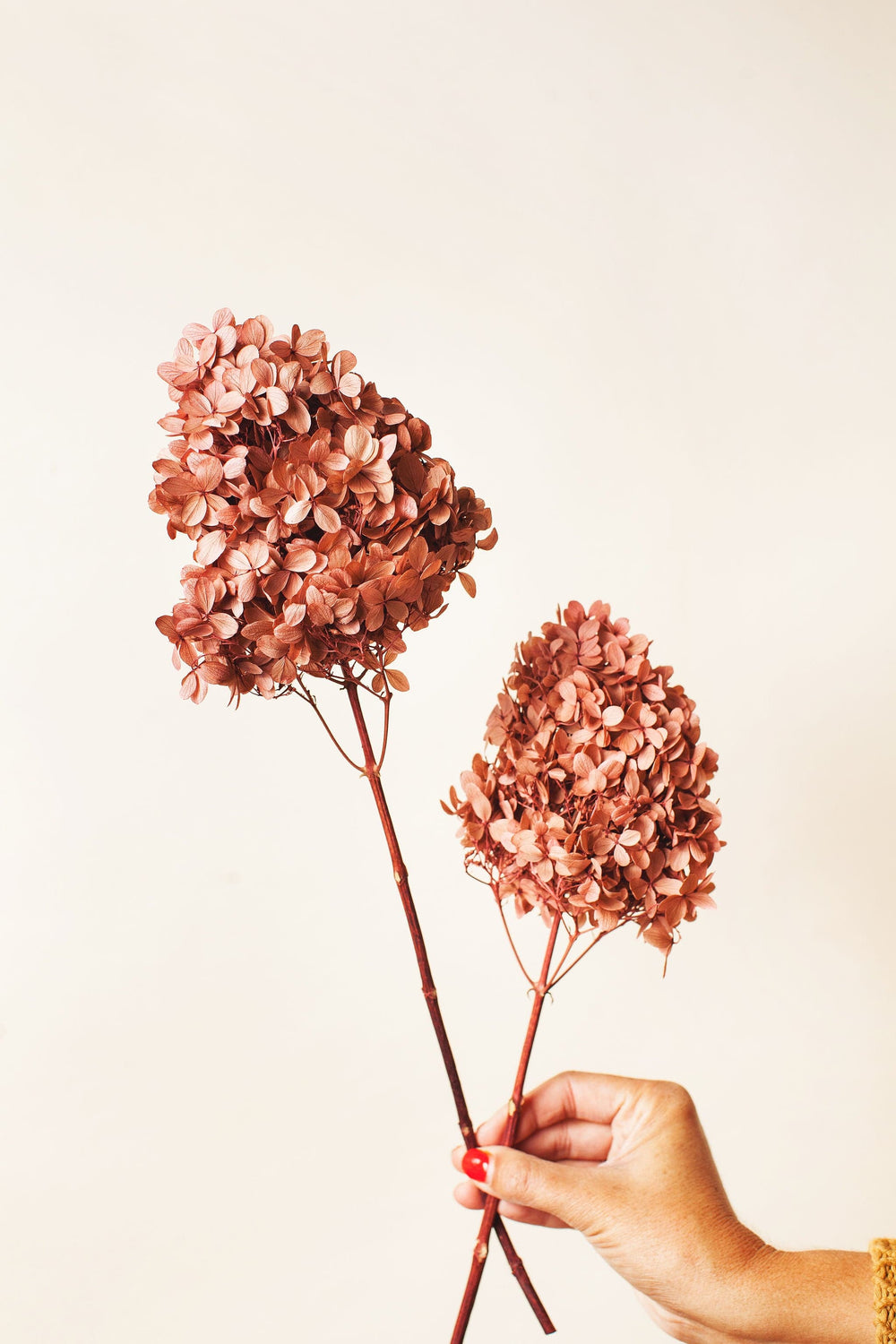 Idlewild Floral Co. Dried Bouquets & Flower Stems, 7 Options on Food52