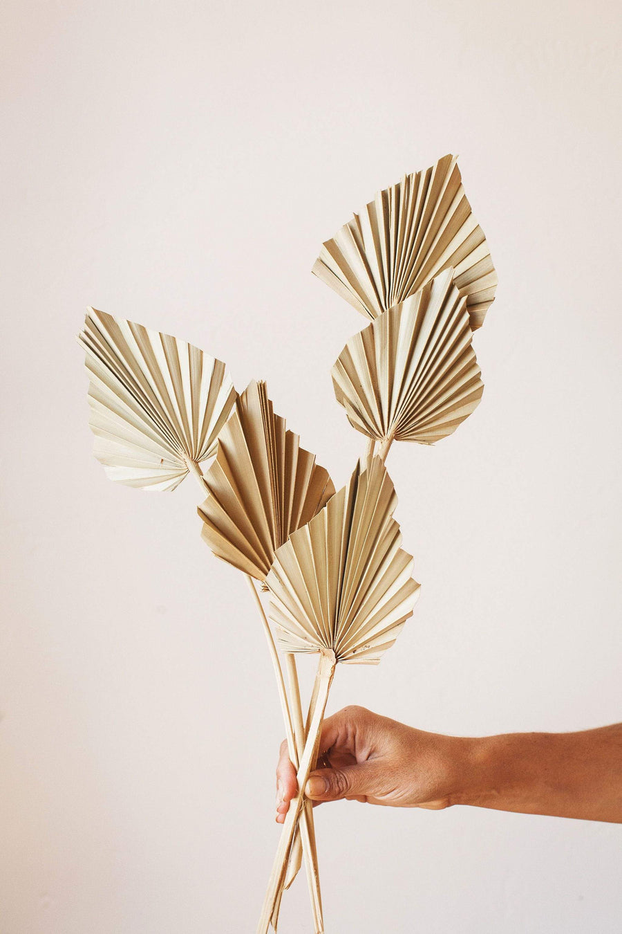 Idlewild Floral Co. Spade Palm Fronds