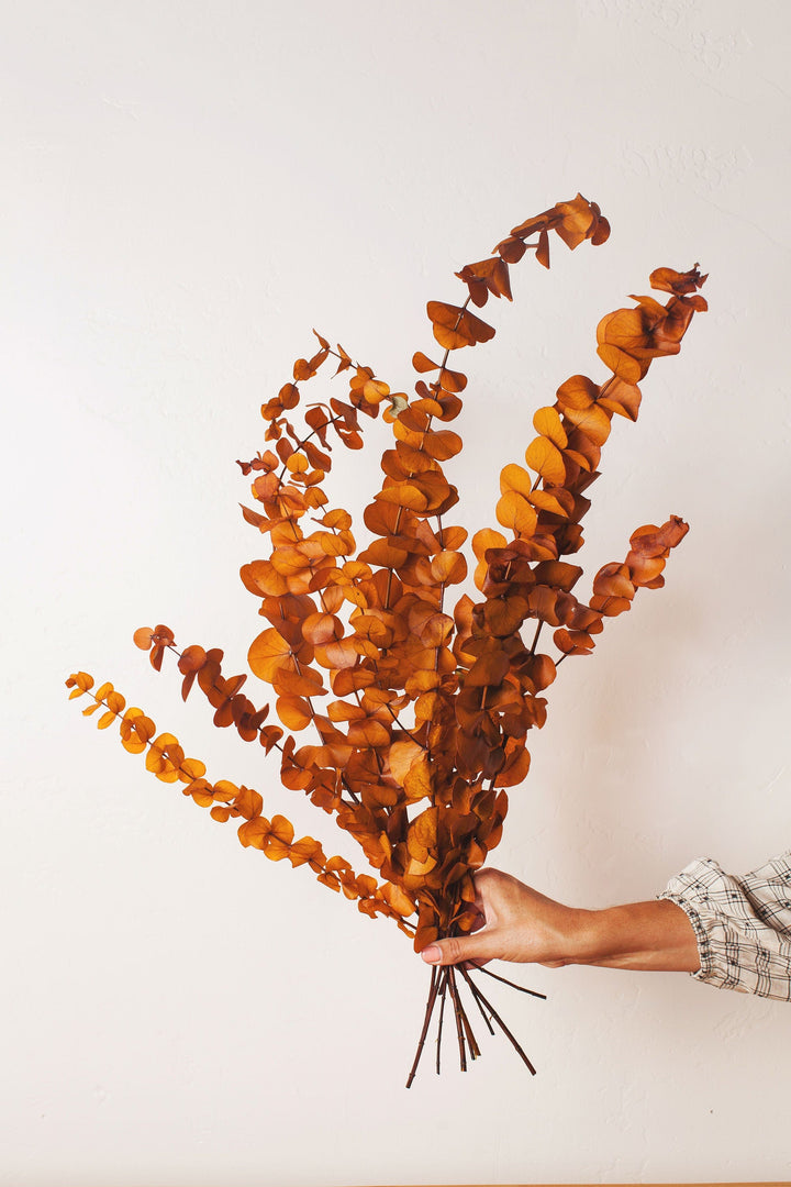 Idlewild Floral Co. Mustard Cinerea Eucalyptus