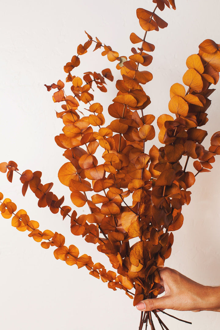 Idlewild Floral Co. Mustard Cinerea Eucalyptus
