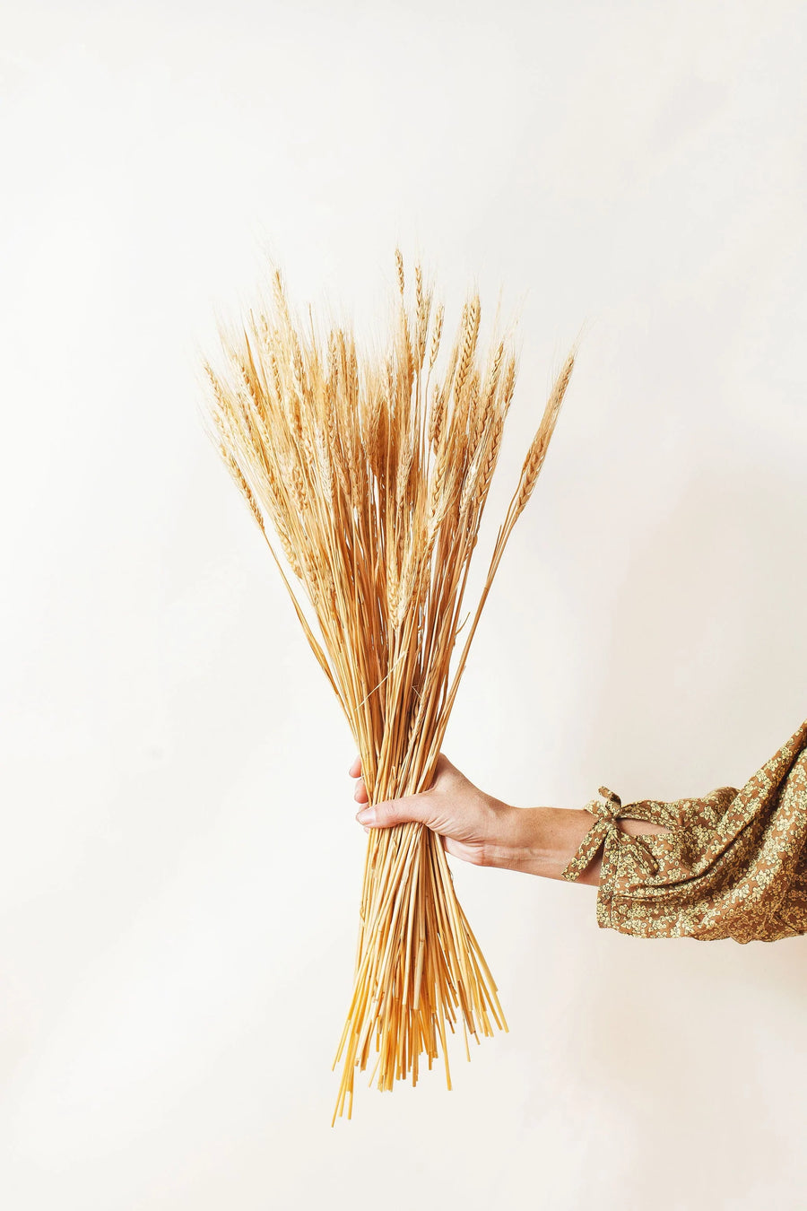 Idlewild Floral Co. Natural Wheat