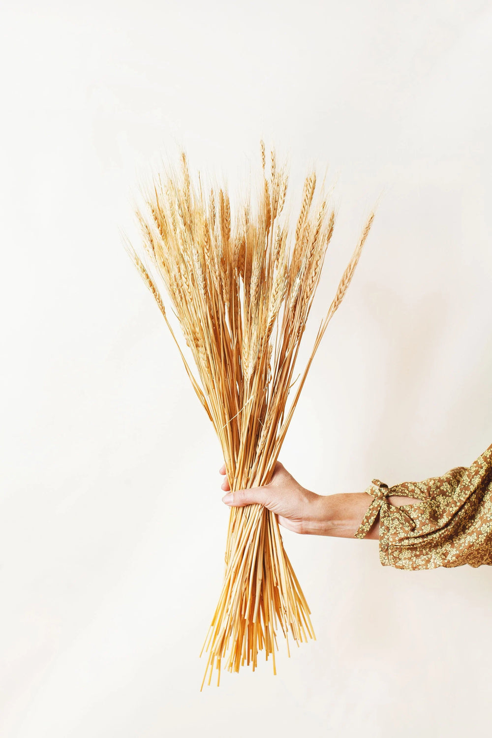 Idlewild Floral Co. Natural Wheat