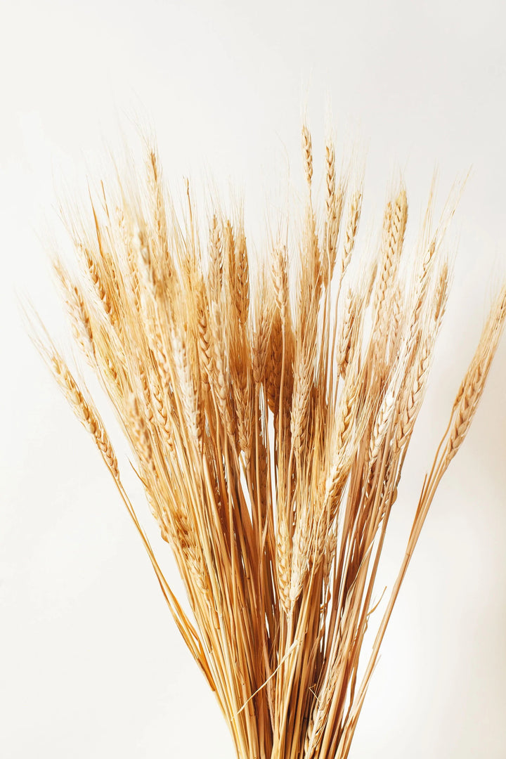 Idlewild Floral Co. Natural Wheat