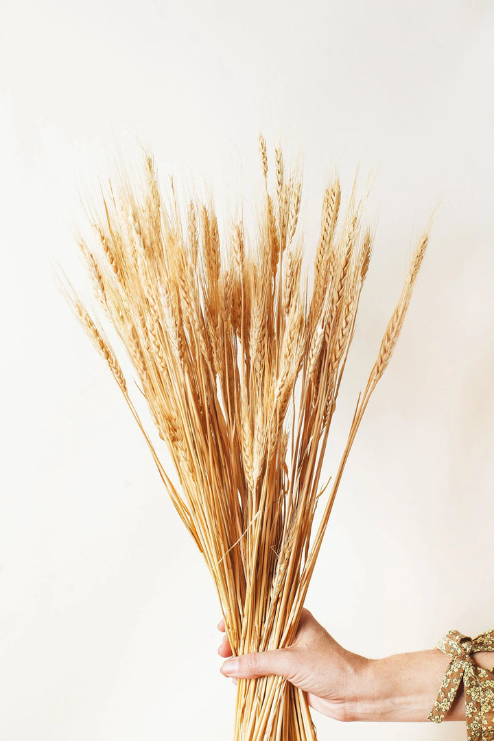 Idlewild Floral Co. Natural Wheat