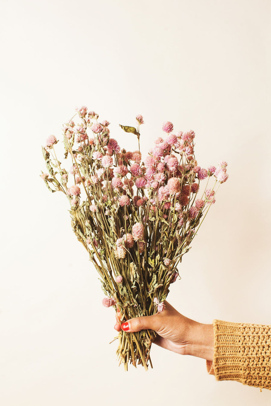 Idlewild Floral Co. Pink Globe Amaranth