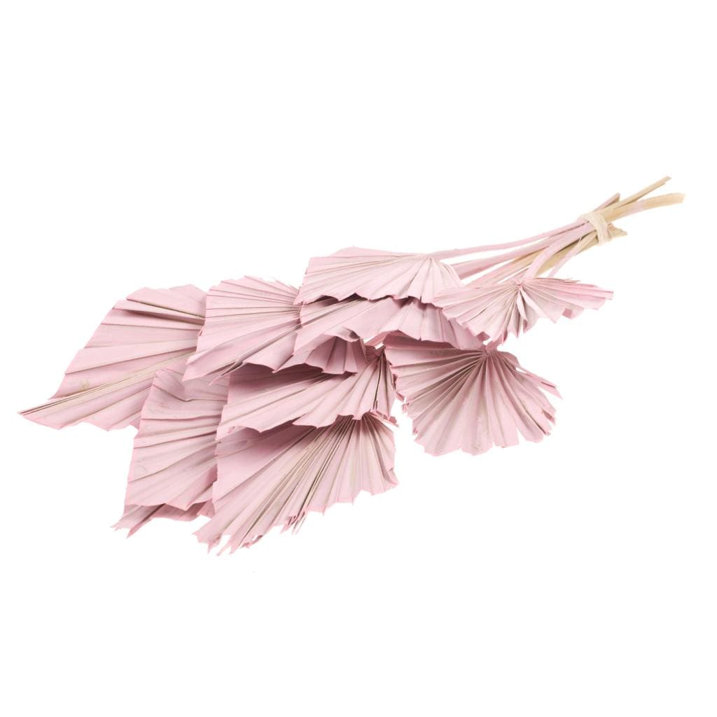 Idlewild Floral Co. Pink Spade Palm
