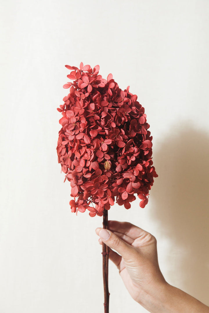 Idlewild Floral Co. Bunches Red Tower Hydrangea