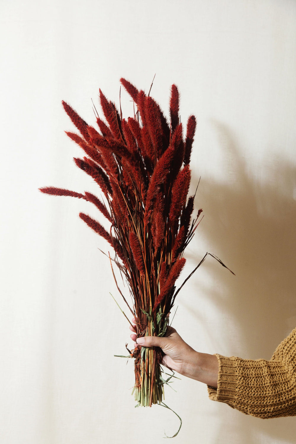 Idlewild Floral Co. Bunches Rust Red Setarea