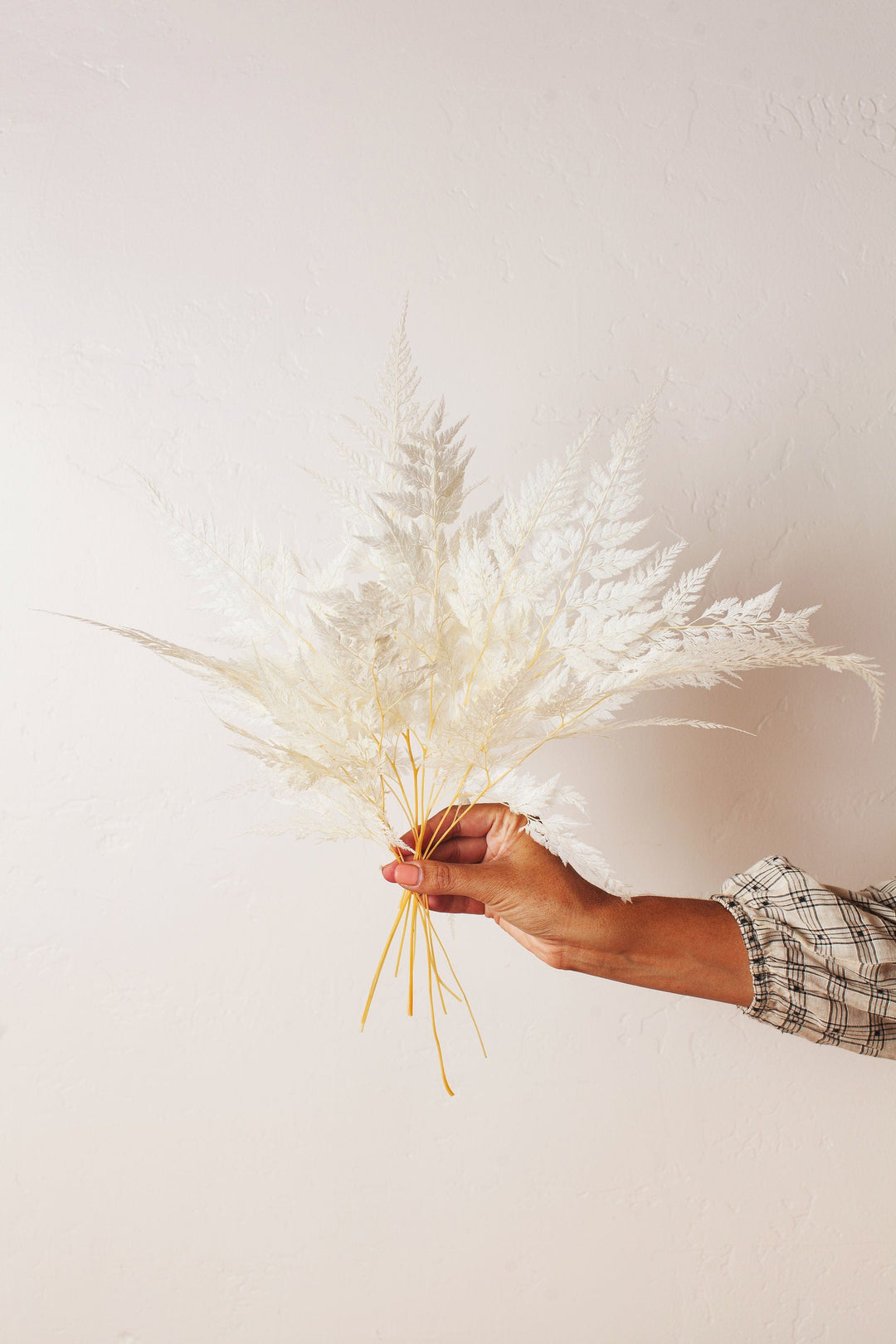 Idlewild Floral Co. Snow Fern
