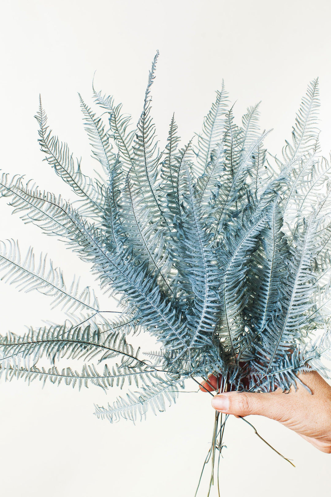 Idlewild Floral Co. Turquoise Mountain Fern