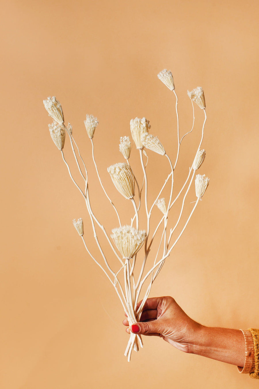 Idlewild Floral Co. White Fennel