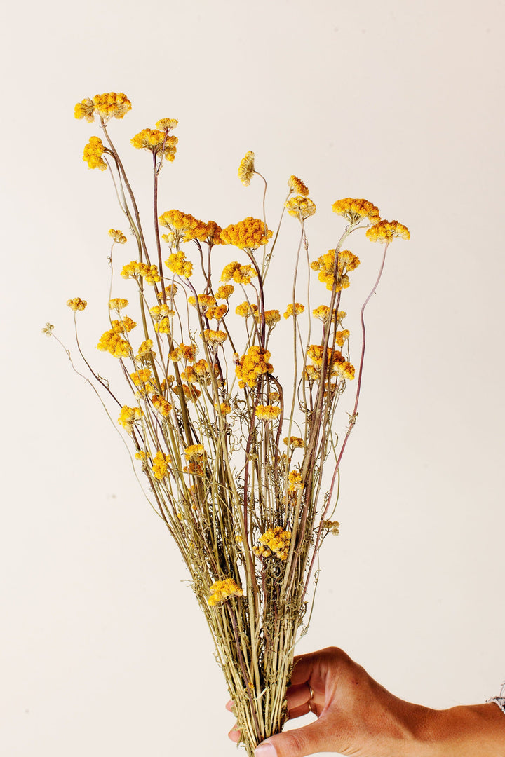 Idlewild Floral Co. Yellow Lonas