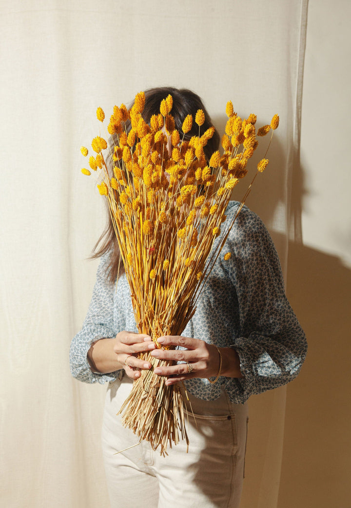 Idlewild Floral Co. Bunches Yellow Phalaris