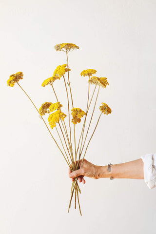 Idlewild Floral Co. Yellow Yarrow